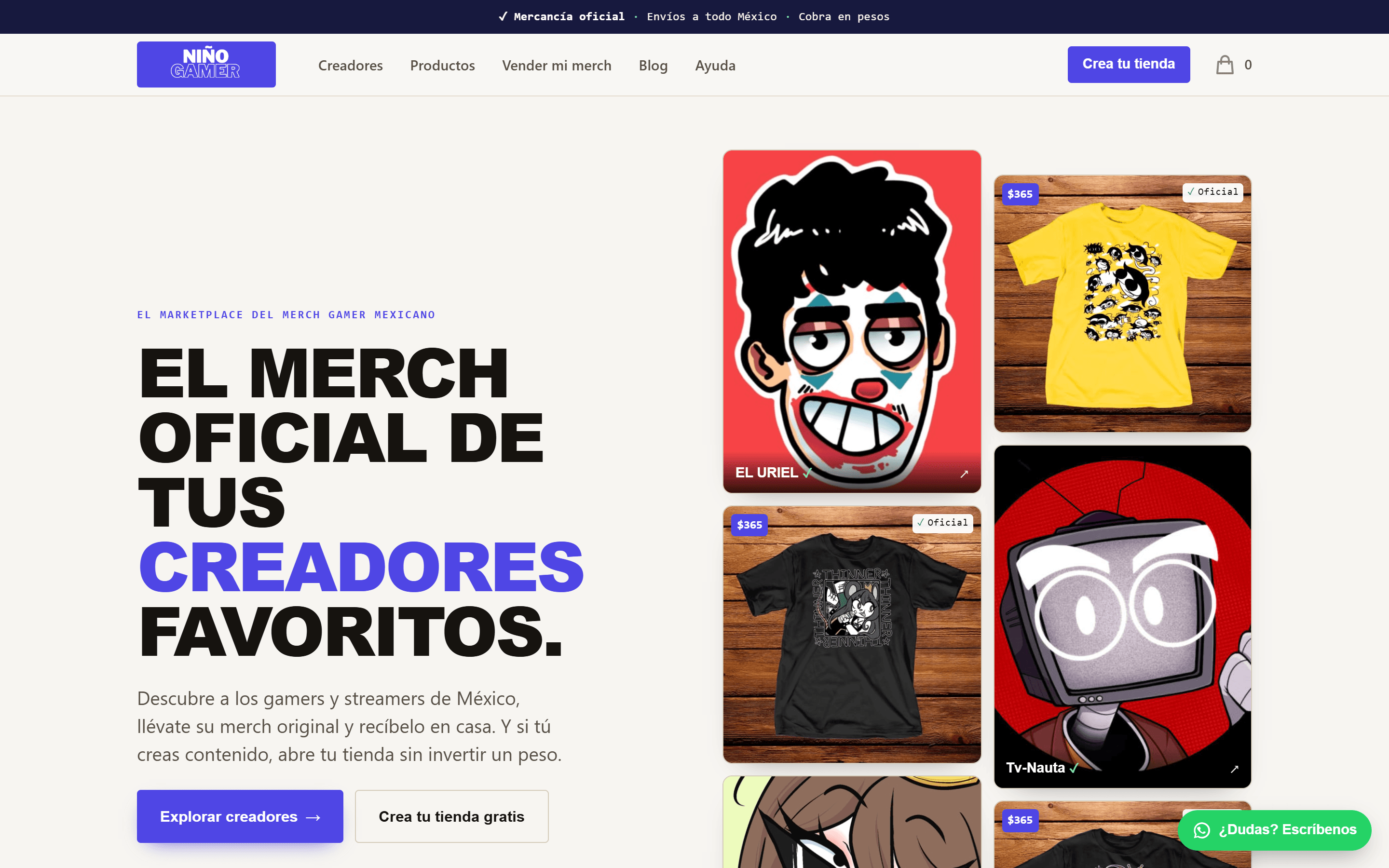 Niño Gamer
